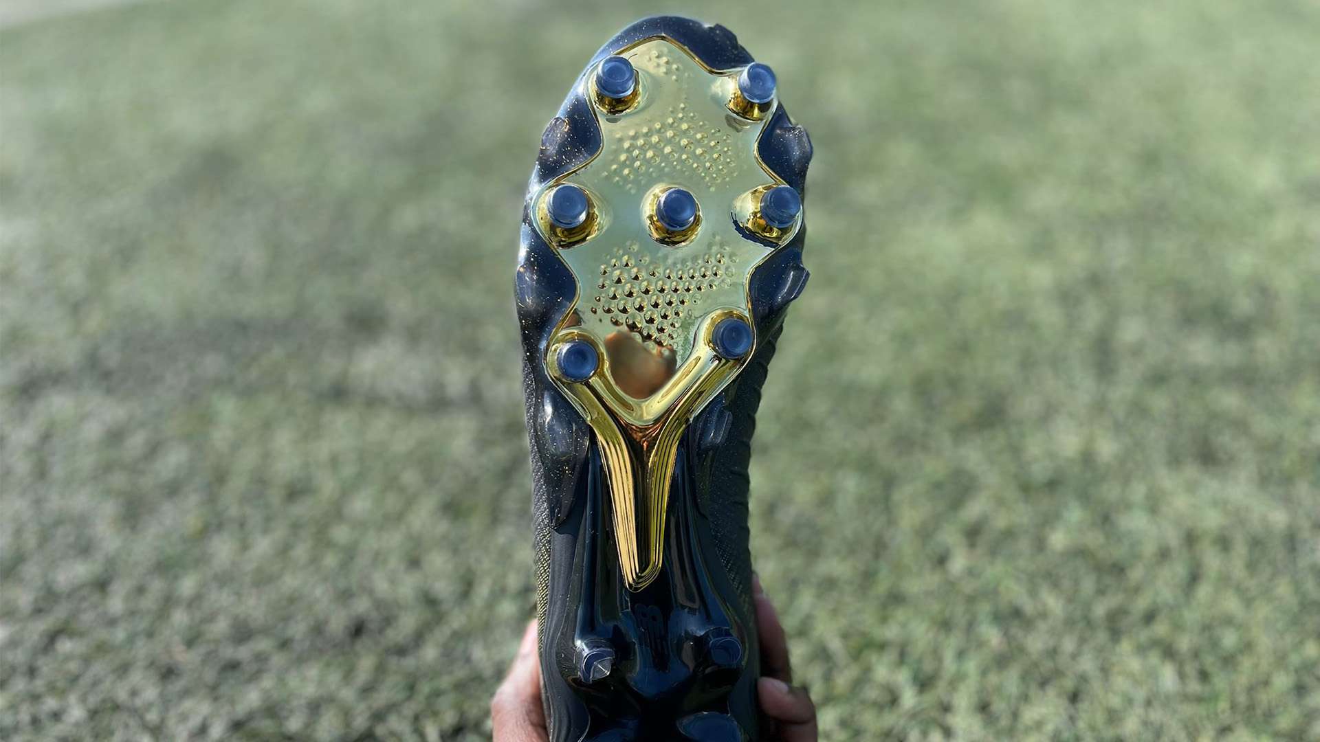 爱和参与 爱和参与