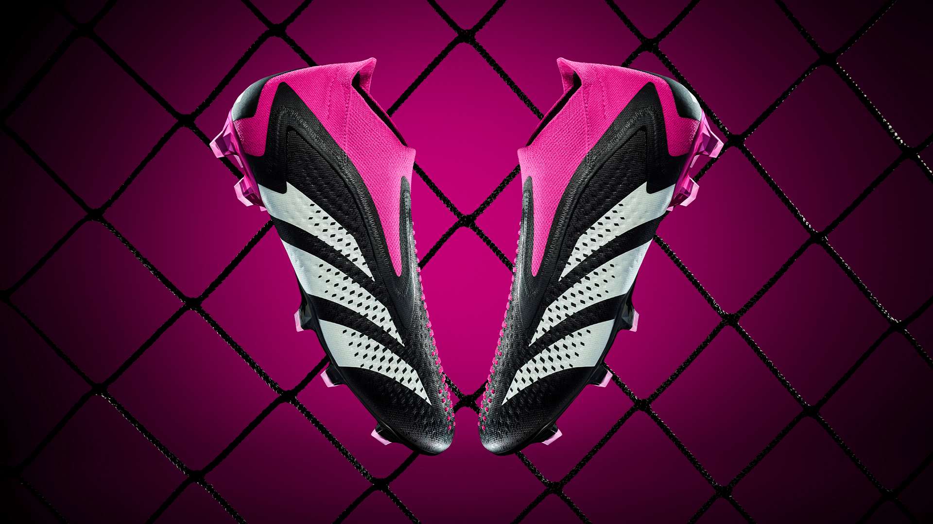 的培训与发 的培训与发